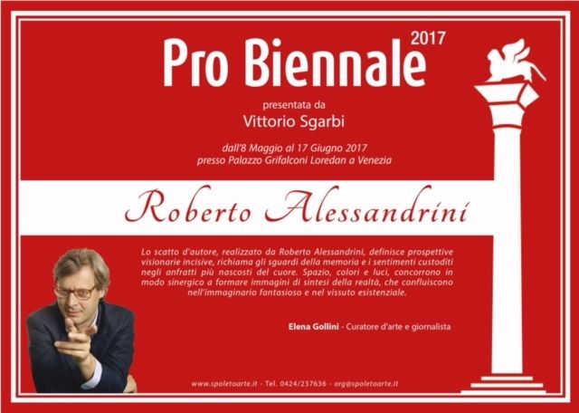 Pro Biennale 2017