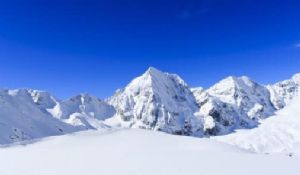 L' attenzione