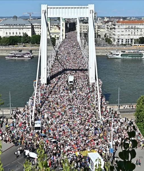 La manifestazione a Budapest